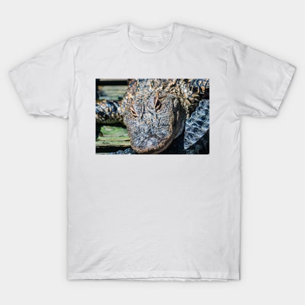 FaceTime with the Alligator T-Shirt by KensLensDesigns